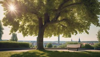 Der Wandel der deutschen Asylpolitik: Von 