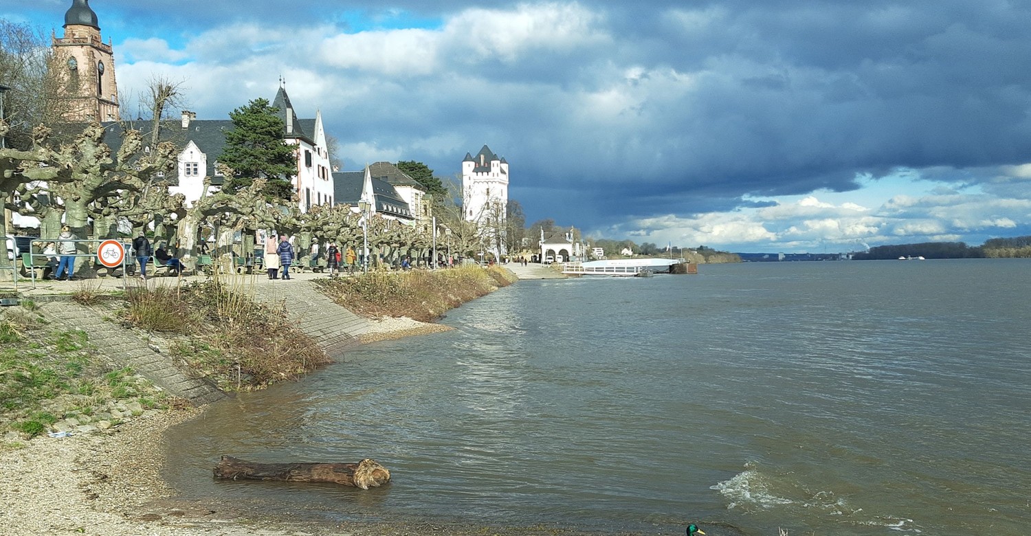 Eltville erneuert Geländer am Rheinufer und verbindet Denkmalschutz mit Sicherheitsauflagen