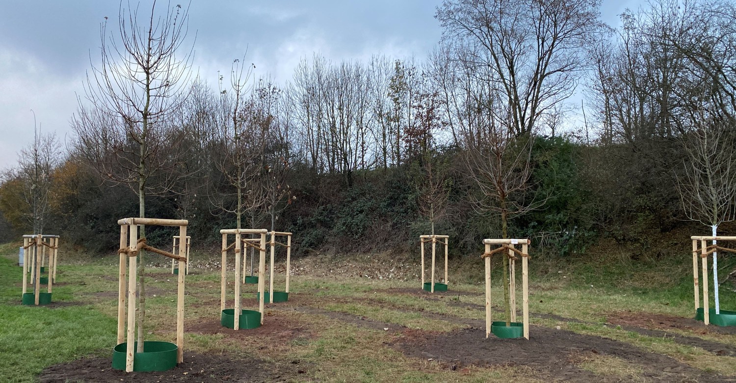 Hanau eröffnet neues Bürgerwäldchen in Großauheim
