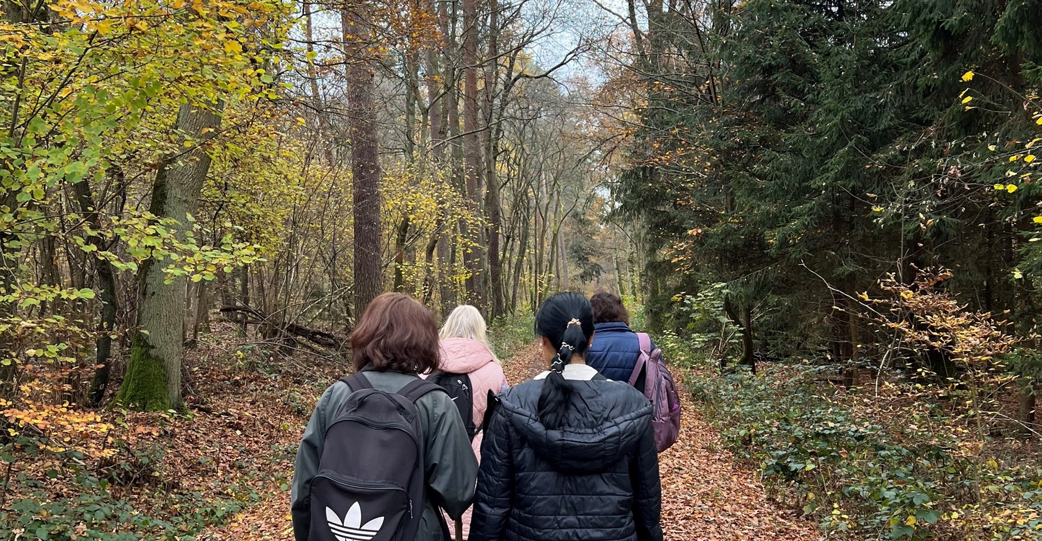 Seniorenbüro Hanau offeriert Februarprogramm mit Wanderung und Straßenbahnführung