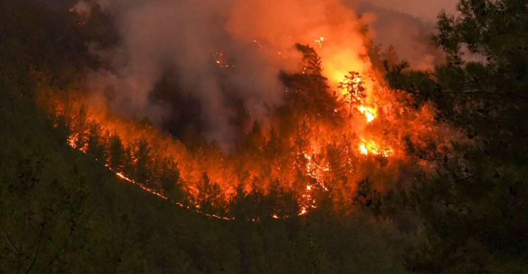 Waldbrandgefahr auf höchster Stufe: Grillverbot und zusätzliche Einschränkungen in Wiesbaden und Taunusstein Waldbrandgefahr auf höchster Stufe: Grillverbot und zusätzliche Einschränkungen in Wiesbaden und Taunusstein